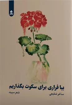 کتاب بیا قراری برای سکوت بگذاریم