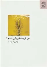 کتاب چرا نویسنده بزرگی نشدم؟