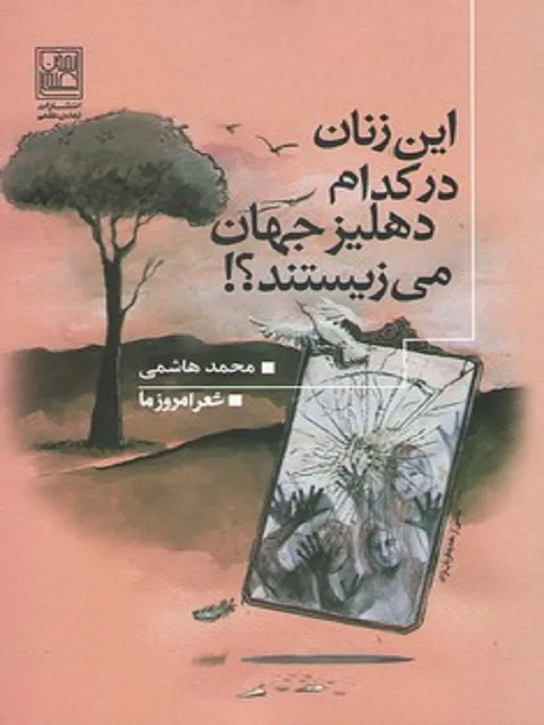 کتاب این زنان در کدام دهلیز جهان می زیستند؟!