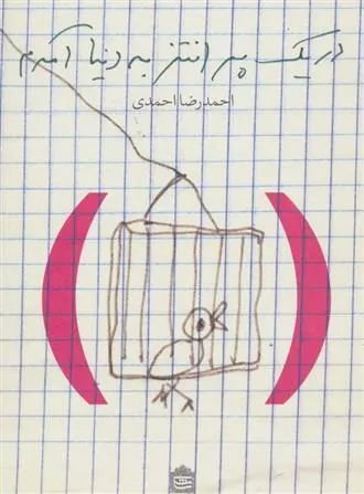 کتاب در یک پرانتز به دنیا آمدم
