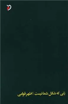 کتاب زنی که شکل شما نیست