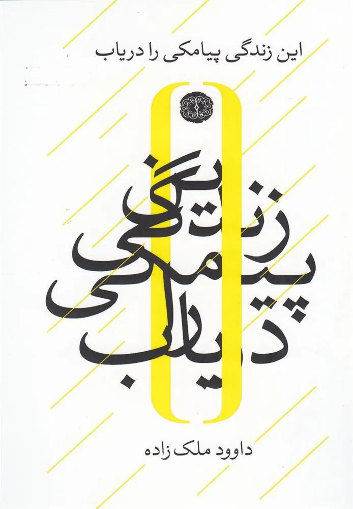 کتاب این زندگی پیامکی را دریاب