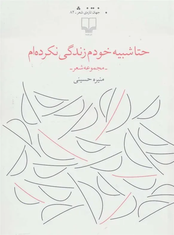 کتاب حتا شبیه خودم زندگی نکرده ام