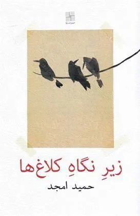 کتاب زیر نگاه کلاغ ها