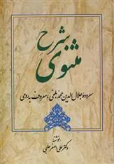 کتاب شرح مثنوی - دفتر سوم