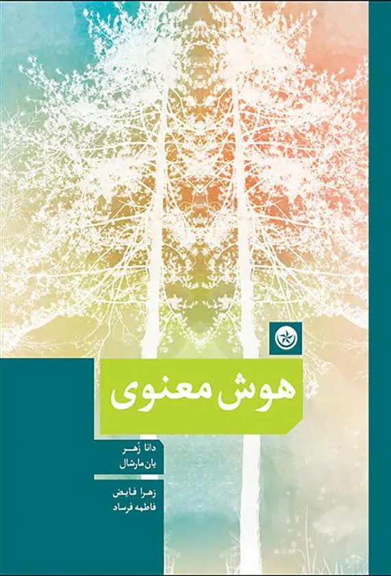 کتاب هوش معنوی