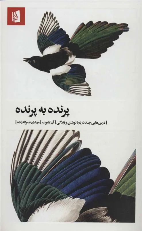پرنده به پرنده
