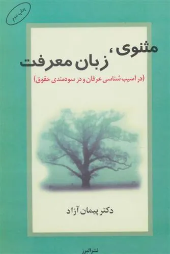 کتاب مثنوی، زبان معرفت