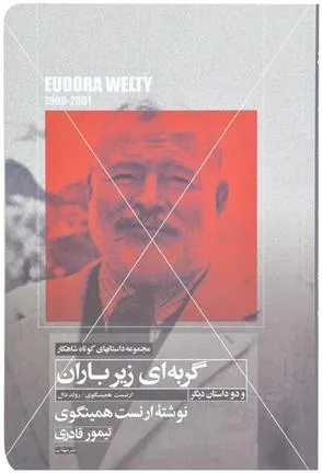 کتاب گربه ای زیر باران