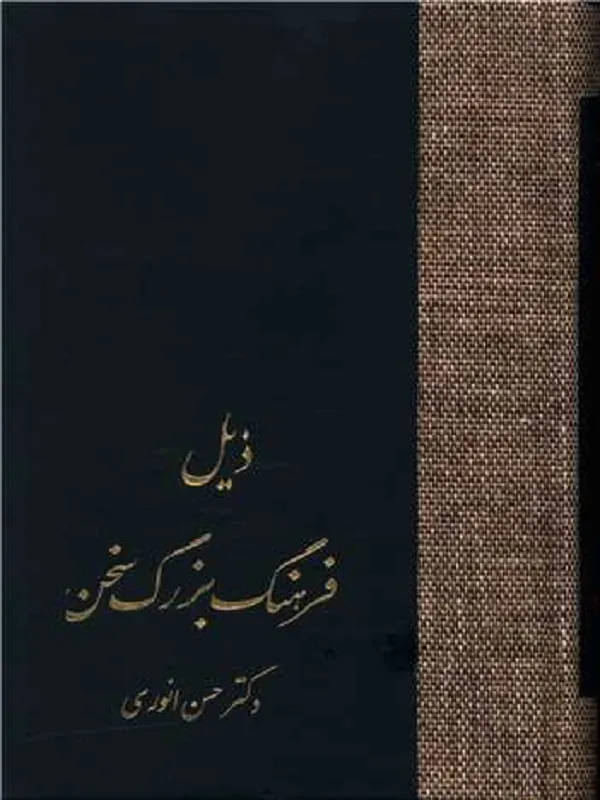 کتاب ذیل فرهنگ بزرگ سخن