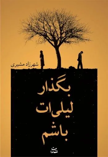 کتاب بگذار لیلی ات باشم