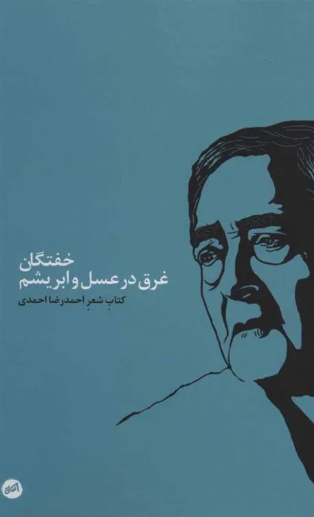 کتاب خفتگان غرق در عسل و ابریشم