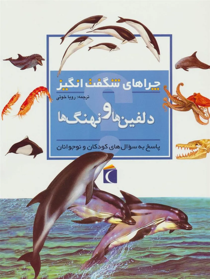 کتاب دلفین ها و نهنگ ها