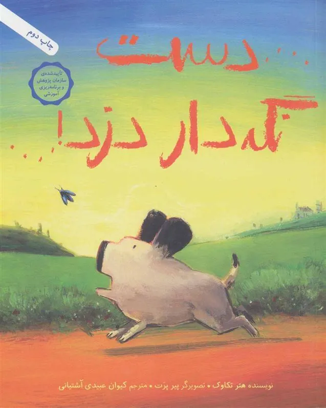 دست نگه دار دزد!