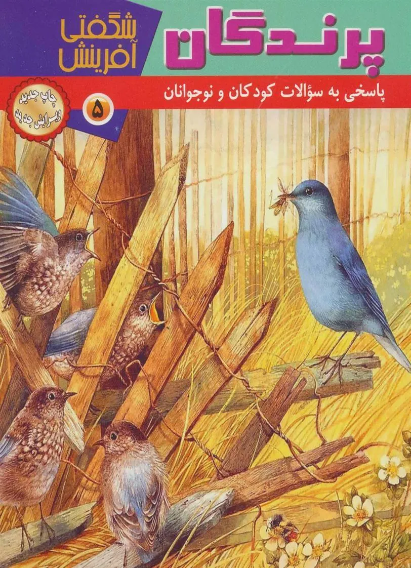 کتاب پرندگان