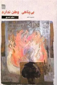 کتاب بی پناهی وطن ندارد