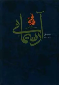 کتاب دیوان رضی الدین آرتیمانی