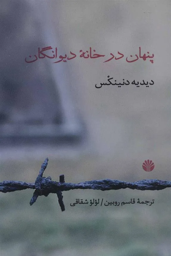 پنهان در خانه دیوانگان