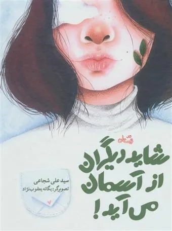 کتاب شاید دیگران از آسمان می آید!
