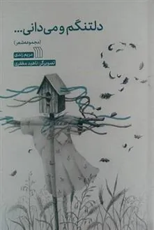 کتاب دلتنگم و می دانی...