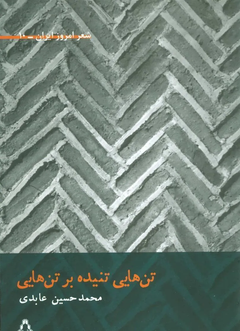 کتاب تن هایی تنیده بر تن هایی