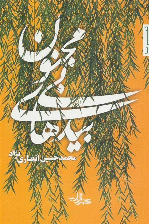 کتاب بیدهای بی مجنون