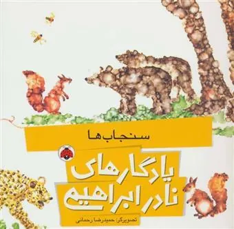 کتاب سنجاب ها