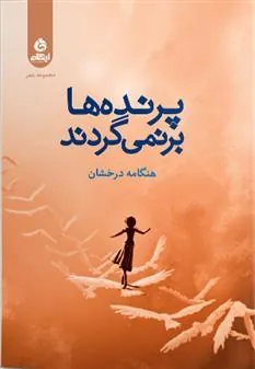 کتاب پرنده ها برنمی گردند