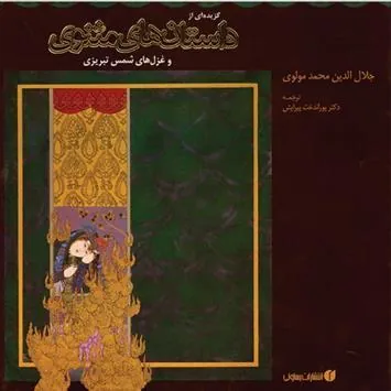 کتاب گزیده ای از داستان های مثنوی معنوی