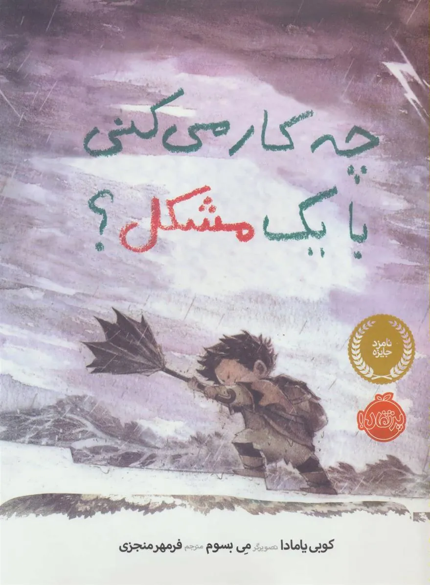 کتاب چه کار می کنی با یک مشکل؟
