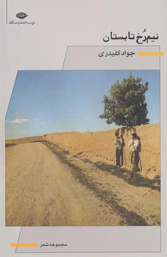 کتاب نیم رخ تابستان