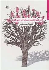 کتاب درخت از میان سایه اش می گذرد
