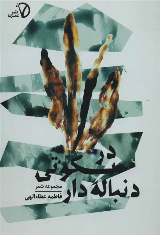 کتاب در سکوتی دنباله دار