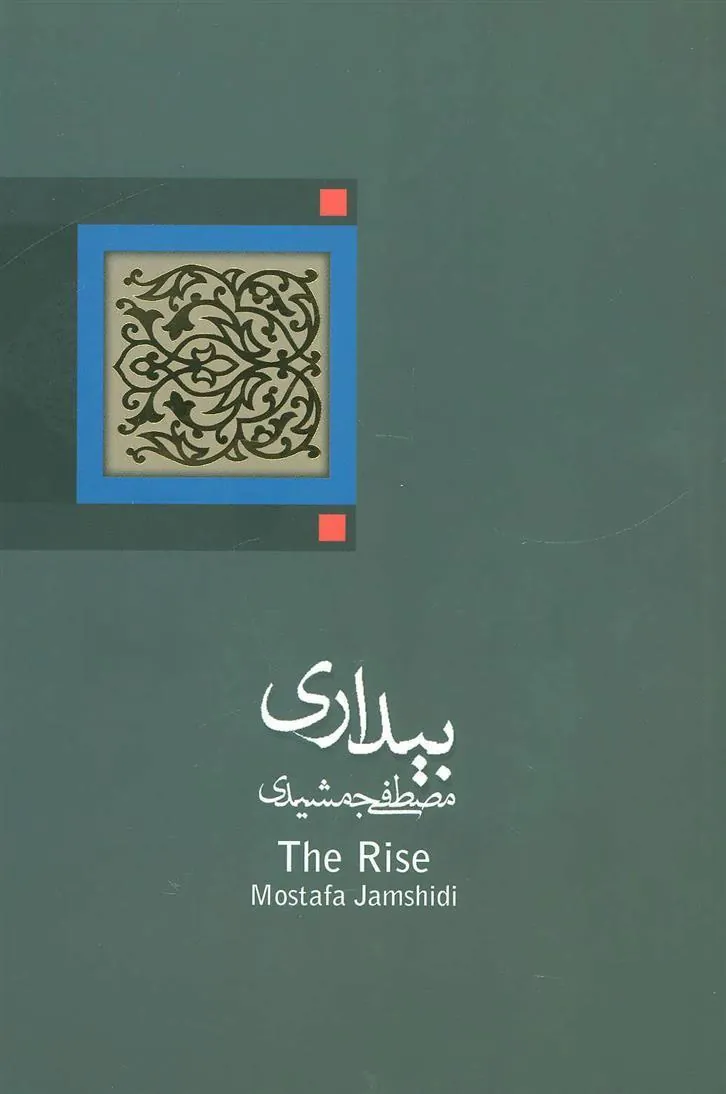کتاب بیداری