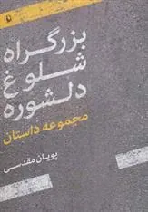کتاب بزرگراه شلوغ دلشوره