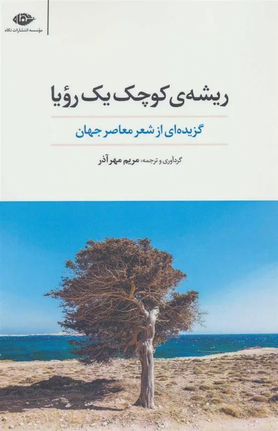 ریشه ی کوچک یک رویا