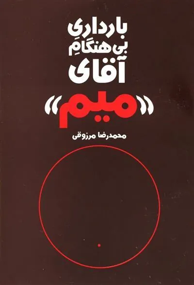 کتاب بارداری بی هنگام آقای میم