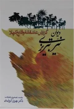 کتاب دیوان نیر تبریزی