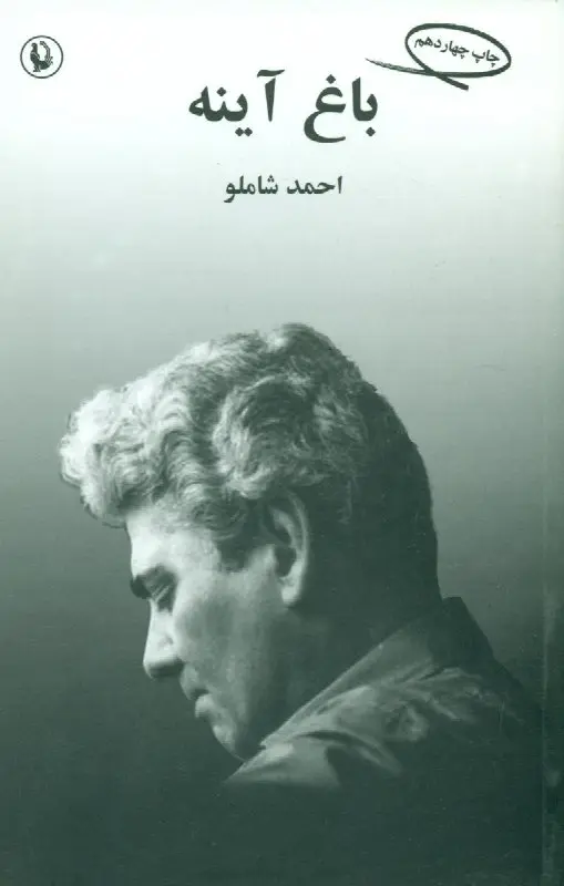 باغ آینه