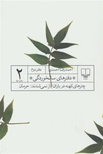 کتاب دفترهای سالخوردگی 2