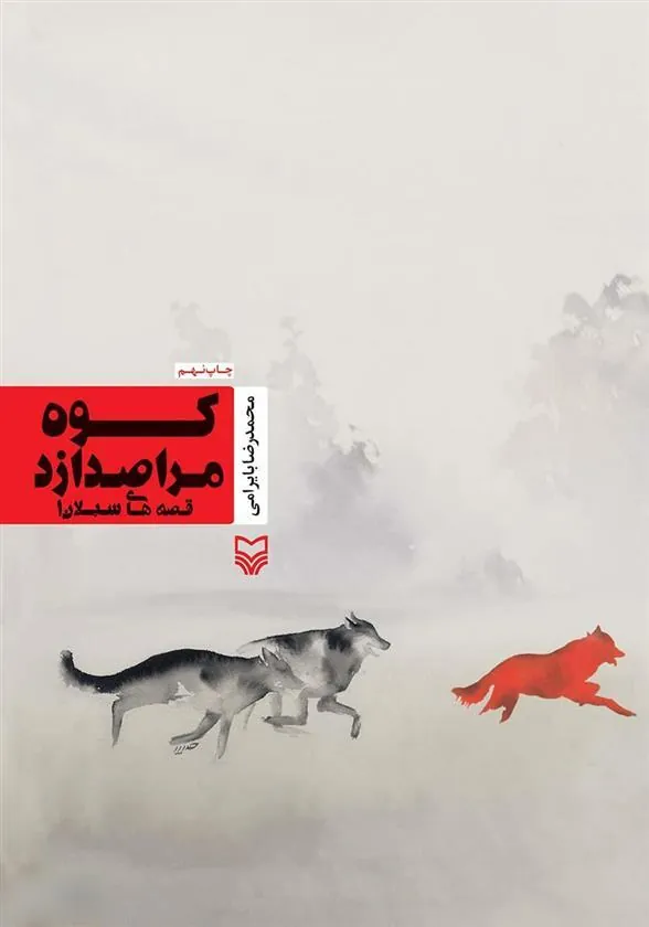 کتاب کوه مرا صدا زد