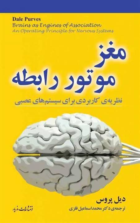 مغز: موتور رابطه