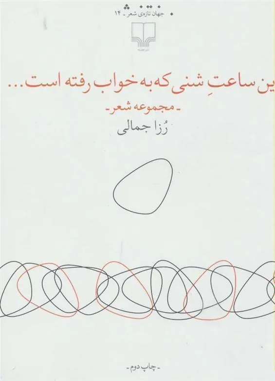 کتاب این ساعت شنی که به خواب رفته است…