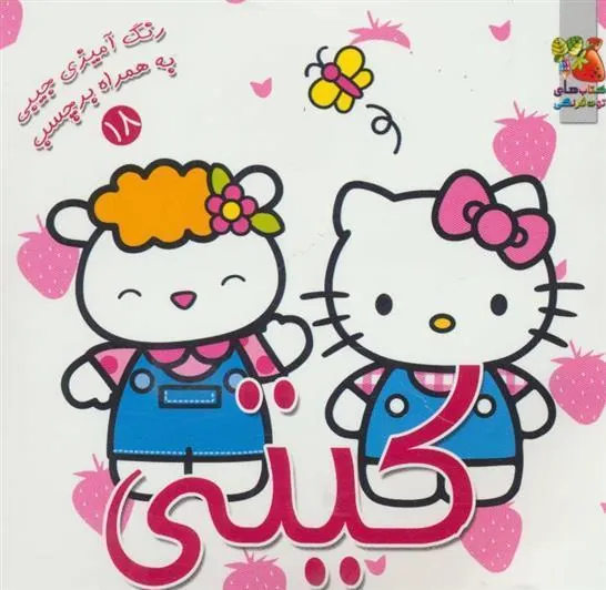 کتاب کیتی