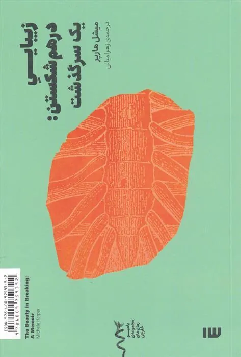 کتاب زیبایی درهم شکستن