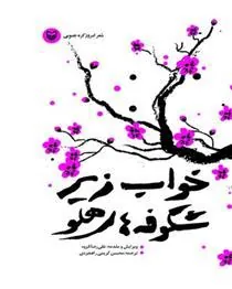 کتاب خواب زیر شکوفه های هلو