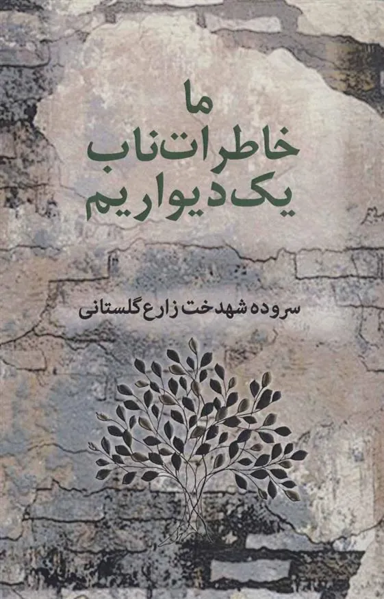 کتاب ما خاطرات ناب یک دیواریم