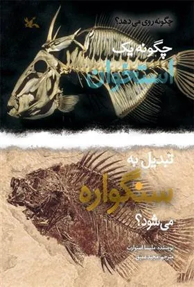 کتاب چگونه یک استخوان تبدیل به سنگواره می شود؟