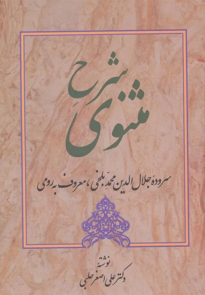 کتاب شرح مثنوی - دفتر پنجم
