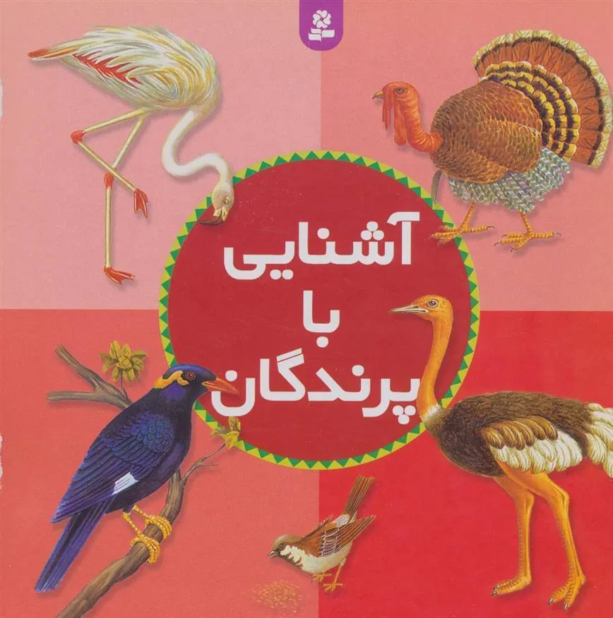 آشنایی با پرندگان